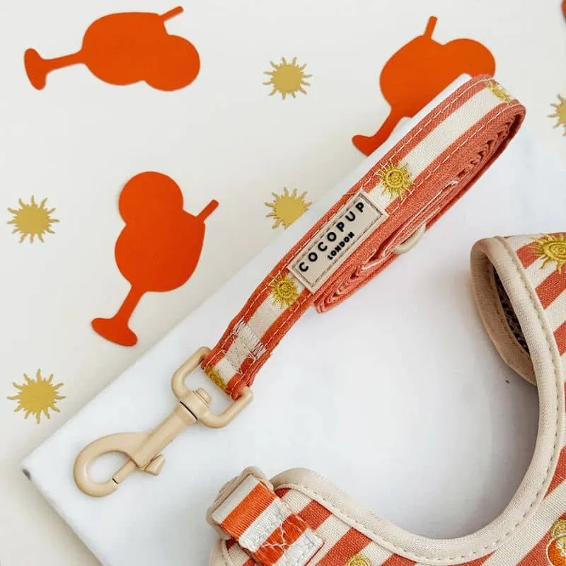 LAISSE POUR CHIEN TISSU - SUNSHINE & SPRITZ ☀️🍹