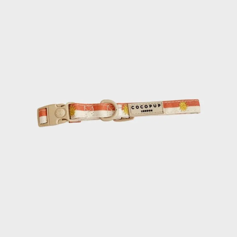 COLLIER POUR CHIEN TISSU - SUNSHINE & SPRITZ ☀️🍹