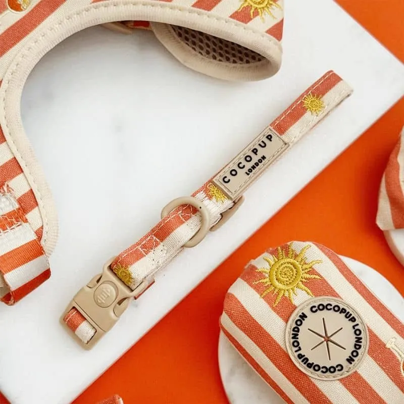 COLLIER POUR CHIEN TISSU - SUNSHINE & SPRITZ ☀️🍹