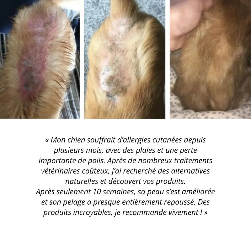 GEL D'ARGENT COLLOÏDAL ANTISEPTIQUE NATUREL POUR CHIEN ET CHAT