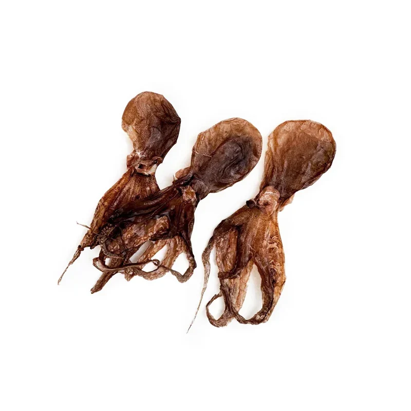 Poulpe déshydraté – Mastication gourmande pour chien