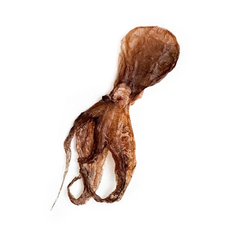 Poulpe déshydraté – Mastication gourmande pour chien
