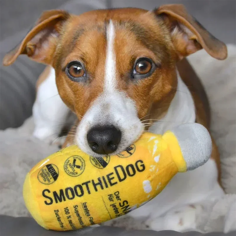 Peluche couineuse – SmoothieDog