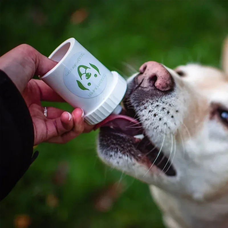 DoggyPumper – Distributeur poussoir à friandises pour chiens et chats