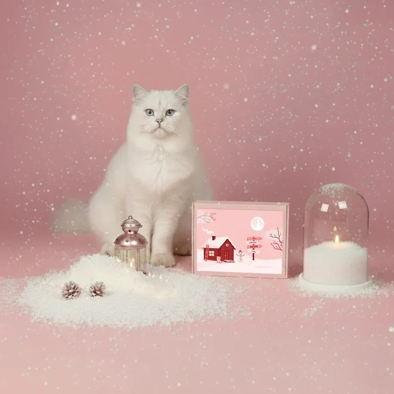 La Box Chat A PET STORE 🐱 : la surprise avec ou sans abonnement