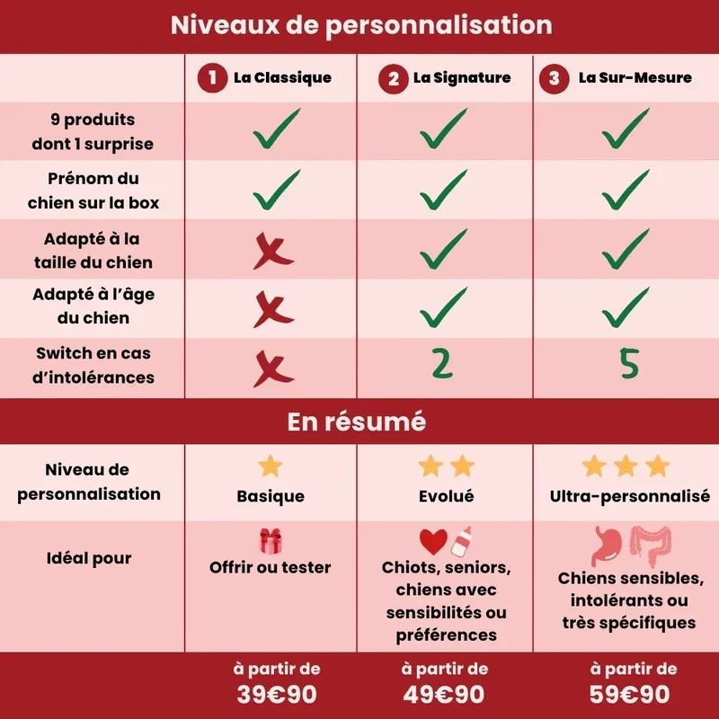 La Box Chien A PET STORE 🐶 : la surprise avec ou sans abonnement
