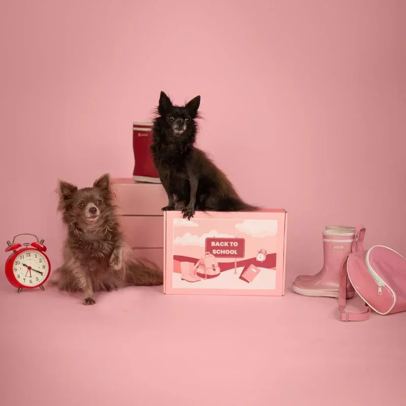 La Box Chien A PET STORE 🐶 : la surprise avec ou sans abonnement