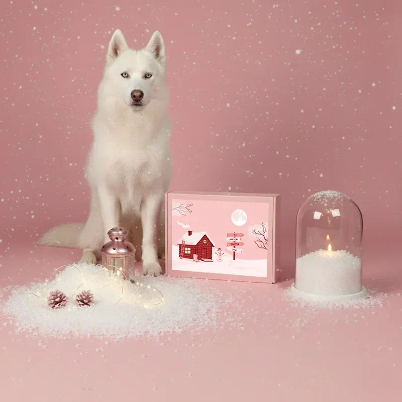 La Box Chien A PET STORE 🐶 : la surprise avec ou sans abonnement