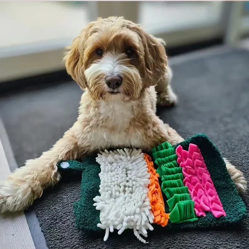 Snufflerz Roll Sushi Zippypaws : le mini tapis de fouille pour chien