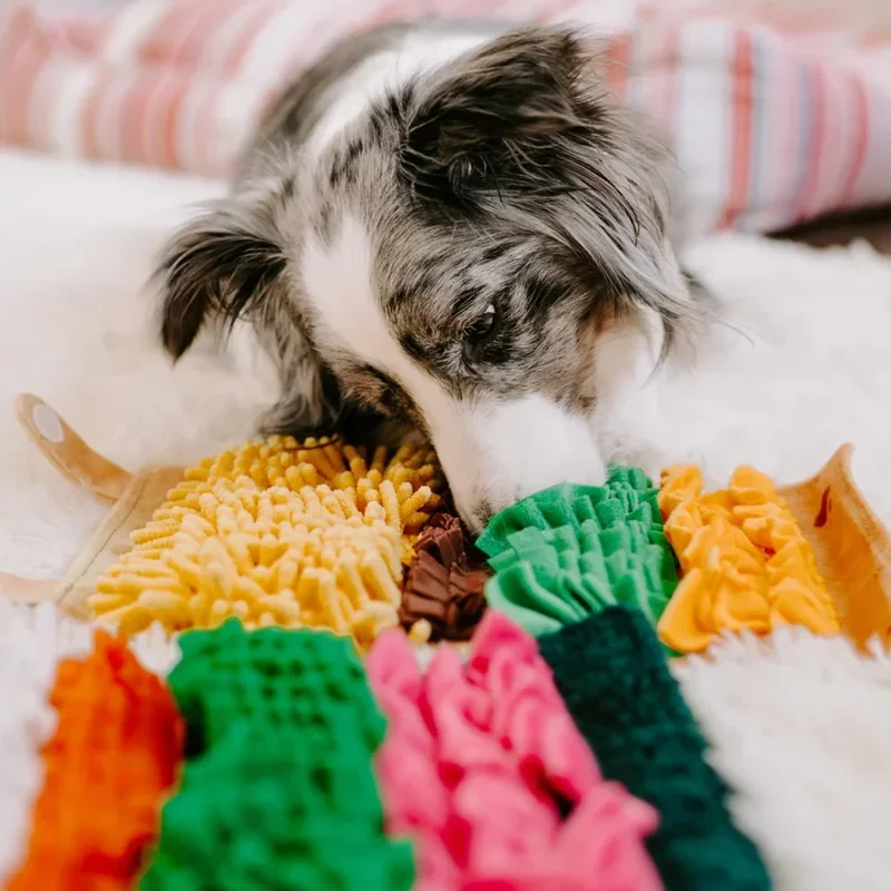 Snufflerz Roll Burrito Zippypaws : le mini tapis de fouille pour chien