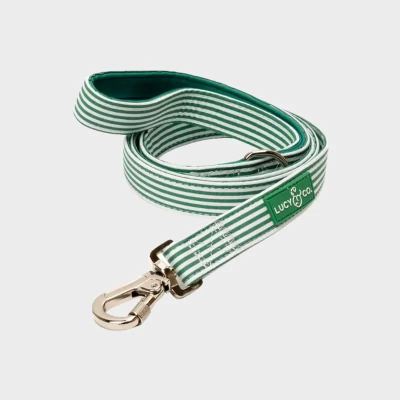 LAISSE POUR CHIEN - RAYURES VERTES & BRODERIE TOMATE 🍅