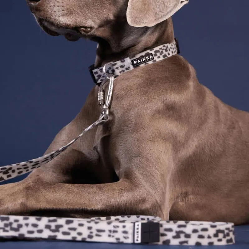 LAISSE POUR CHIEN MULTIPOSITIONS WATERPROOF - PHOSPHORESCENT