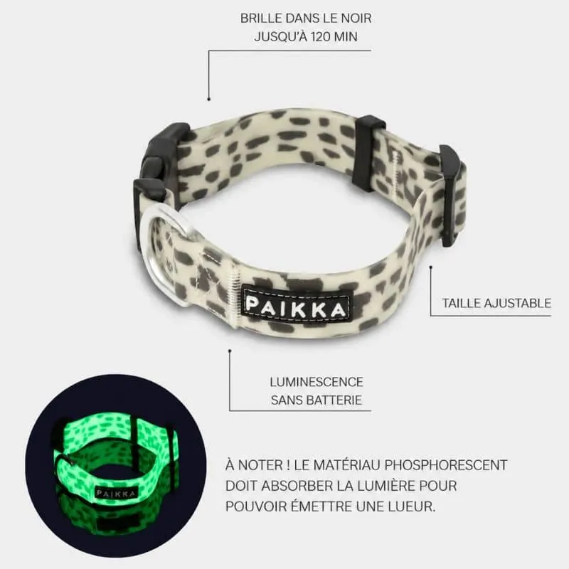 COLLIER POUR CHIEN WATERPROOF - PHOSPHORESCENT