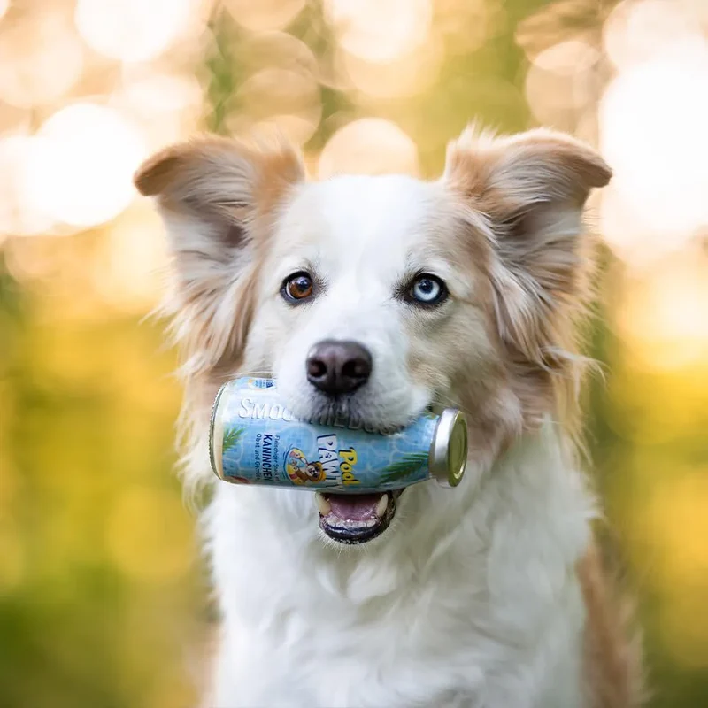 Smoothie pour chiens – Pina Paw Lada – 250mL