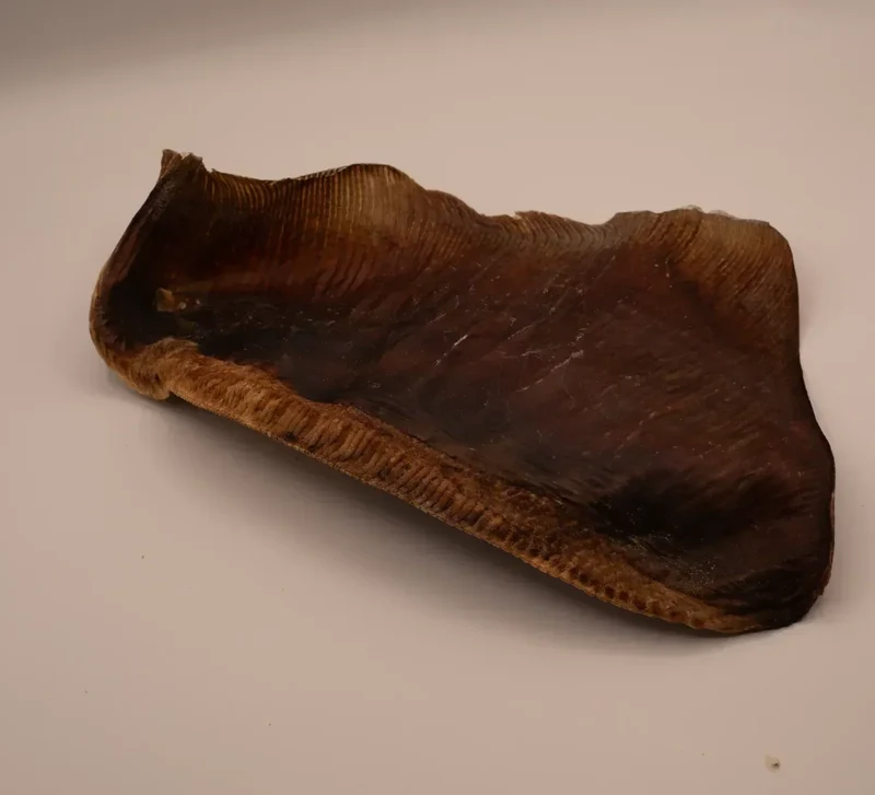 Aile de raie – Poisson entier – Mastication gourmande XXL pour chiens – 1 pièce
