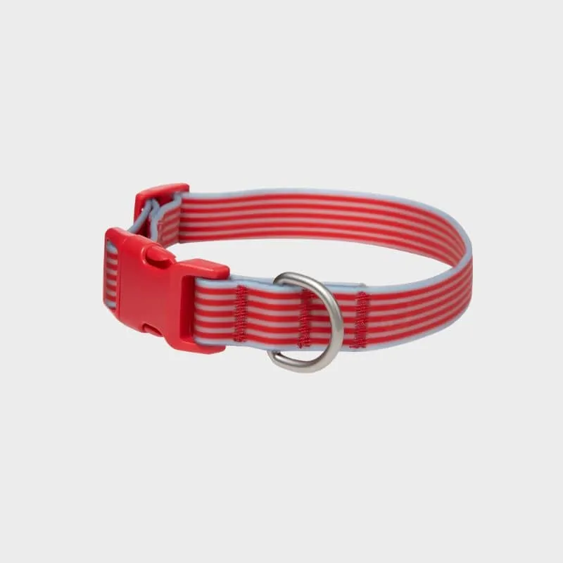 COLLIER POUR CHIEN WATERPROOF - RAYURES BLEU & ROUGE (PERSONNALISABLE AVEC DES CHARMS)