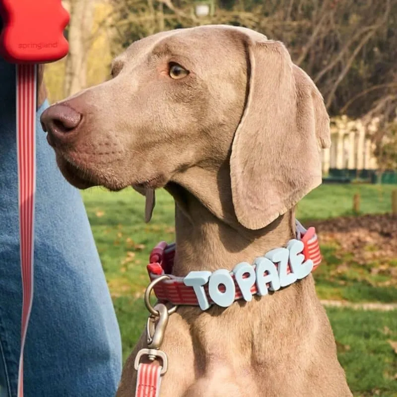 COLLIER POUR CHIEN WATERPROOF - RAYURES BLEU & ROUGE (PERSONNALISABLE AVEC DES CHARMS)
