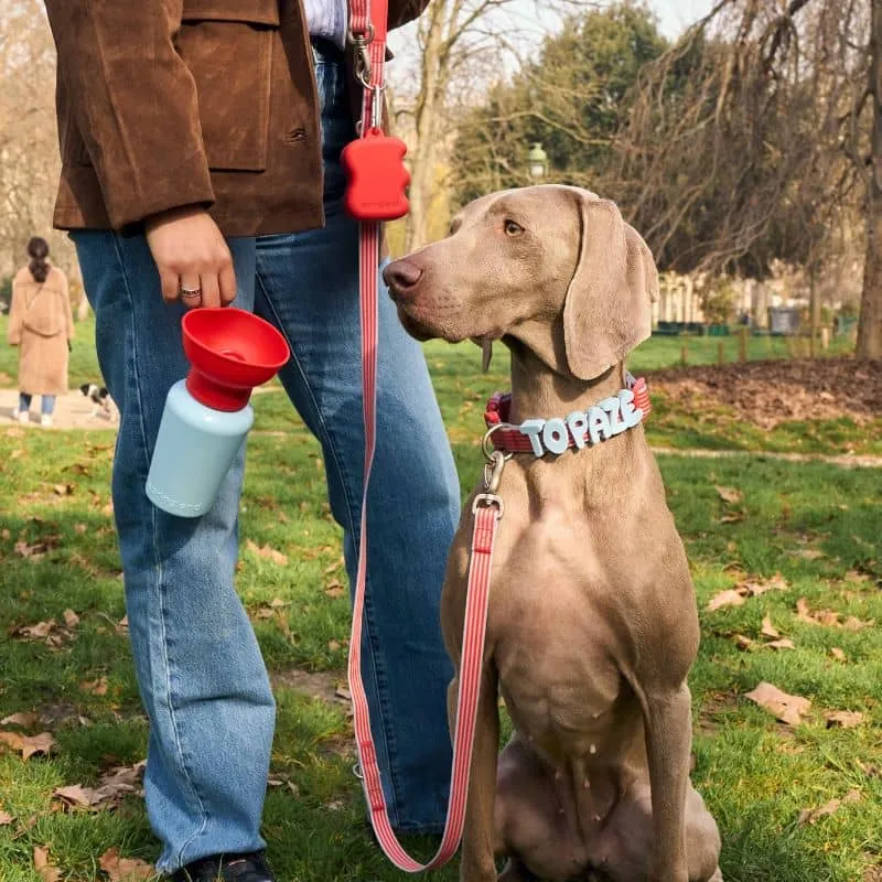 COLLIER POUR CHIEN WATERPROOF - RAYURES BLEU & ROUGE (PERSONNALISABLE AVEC DES CHARMS)