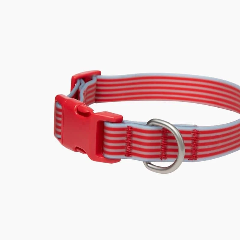 COLLIER POUR CHIEN WATERPROOF - RAYURES BLEU & ROUGE (PERSONNALISABLE AVEC DES CHARMS)