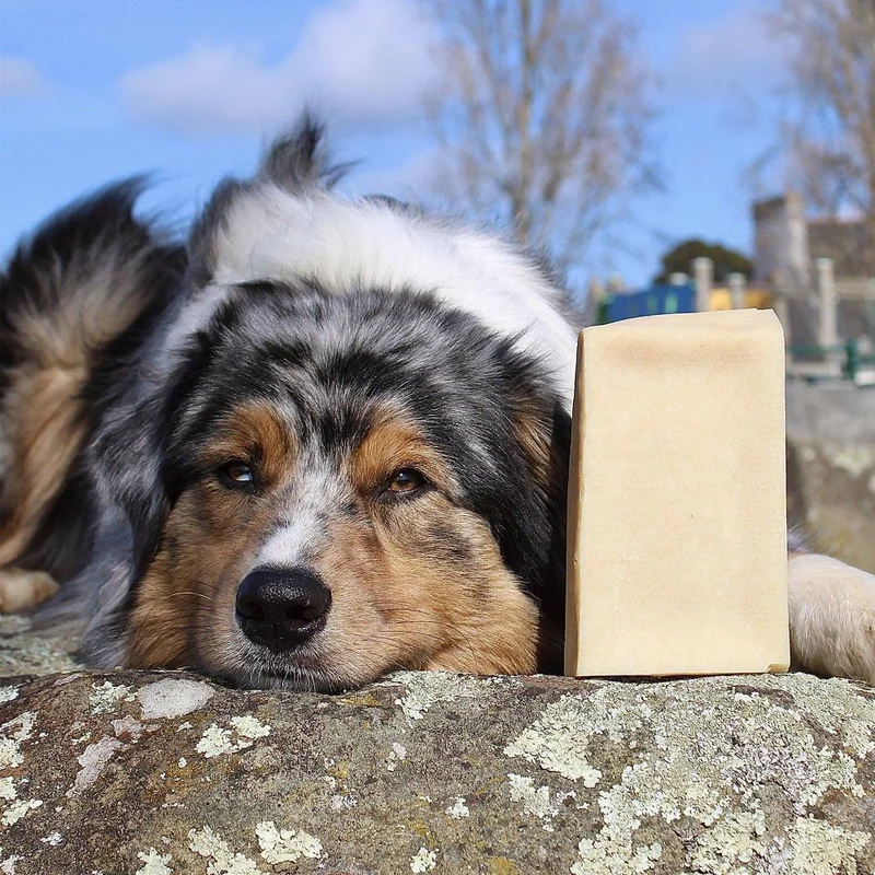 Cheese brick – Brique de fromage – Mastication gourmande pour chien