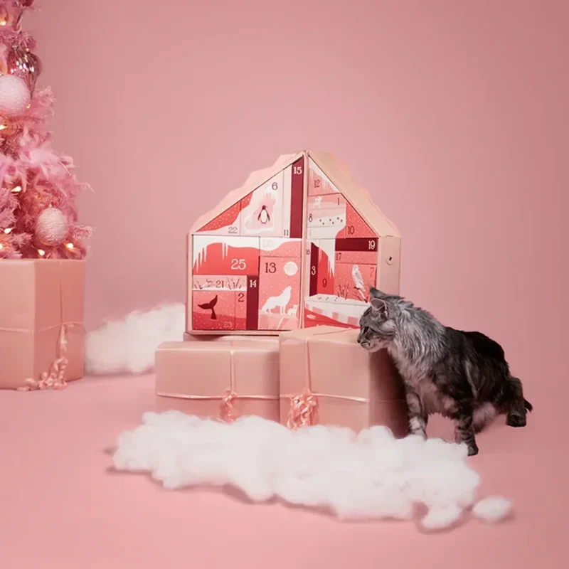 Calendrier de l'Avent pour chat 2024 🐱 – Les Nuits Polaires 🎄❄️