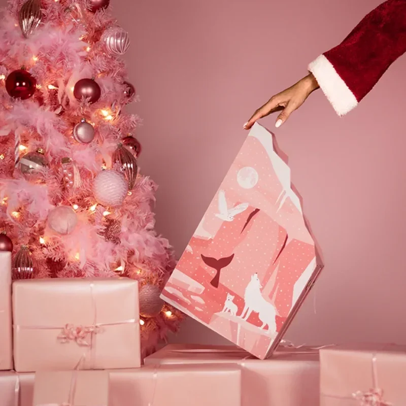 Calendrier de l'Avent pour chat 2024 🐱 – Les Nuits Polaires 🎄❄️