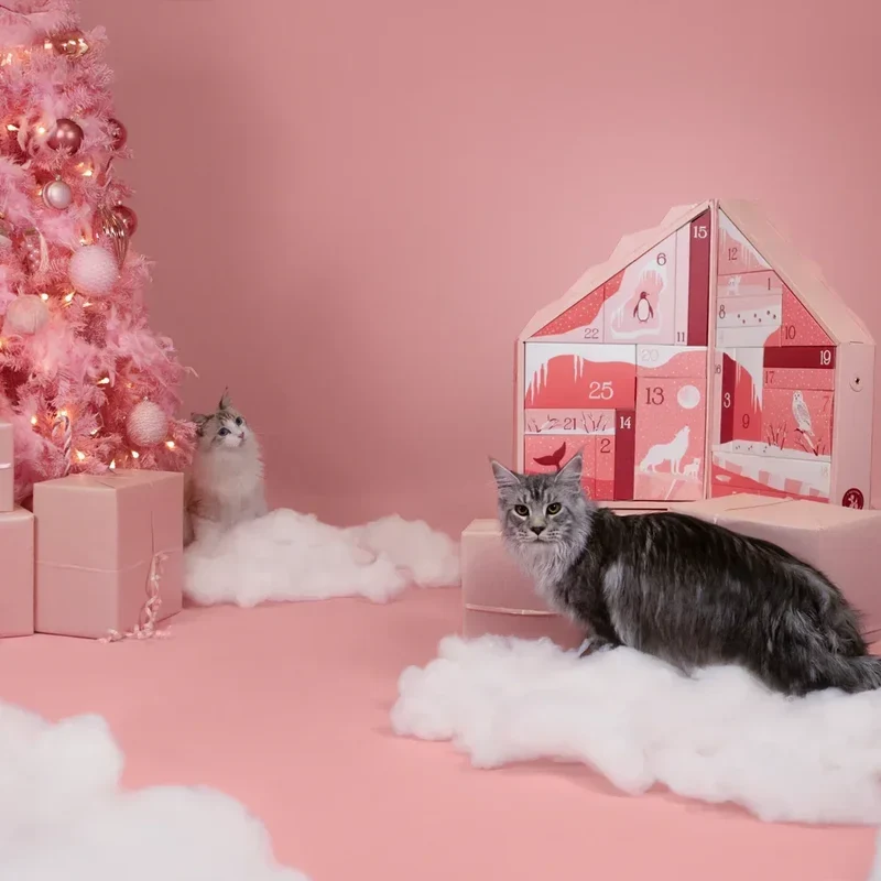 Calendrier de l'Avent pour chat 2024 🐱 – Les Nuits Polaires 🎄❄️