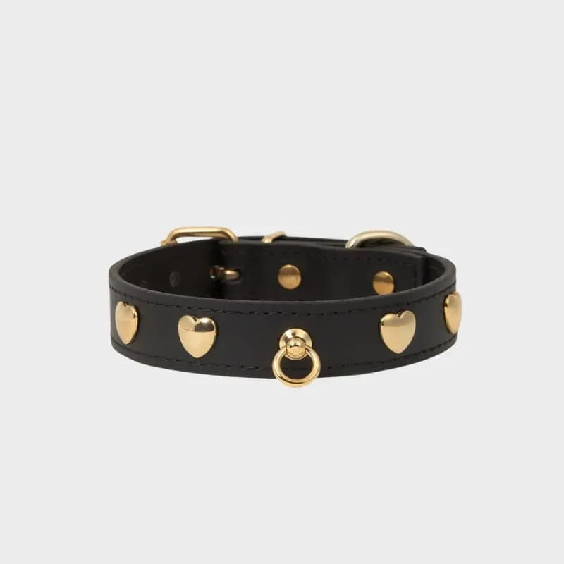 COLLIER EN CUIR POUR CHIEN - NOIR "NARA" AVEC CLOUS DORÉS COEUR