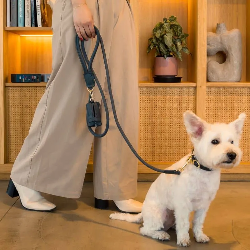 LAISSE EN CORDE POUR CHIEN - CORDE & CUIR VEGAN EN GRIS ANTHRACITE