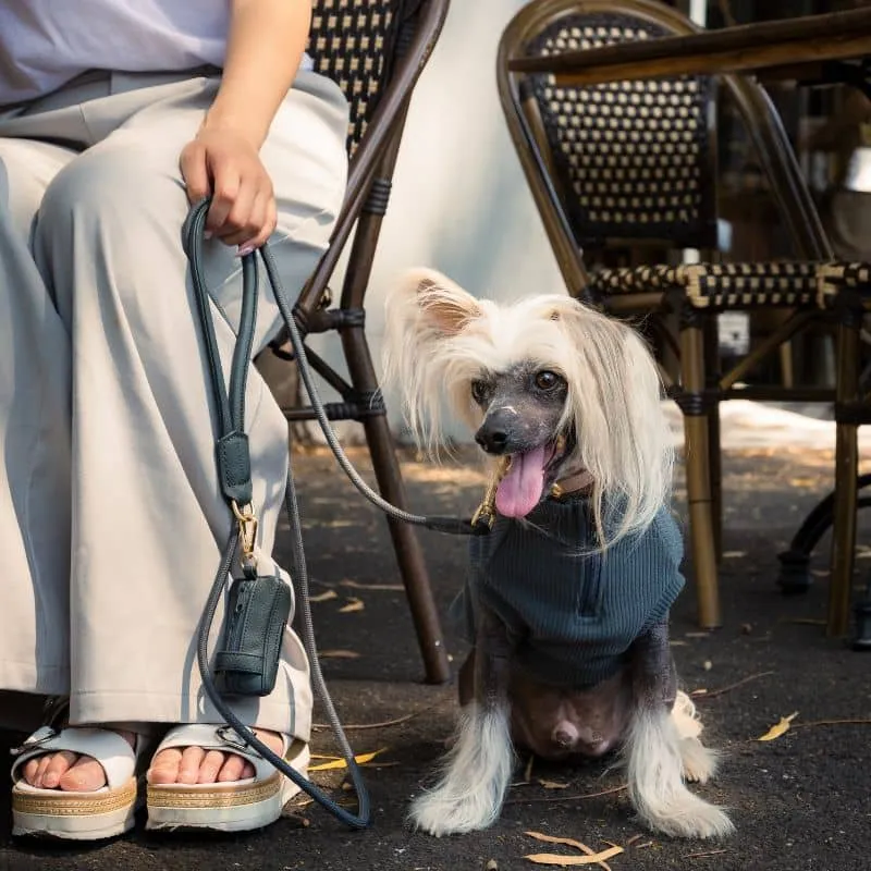 LAISSE EN CORDE POUR CHIEN - CORDE & CUIR VEGAN EN GRIS ANTHRACITE