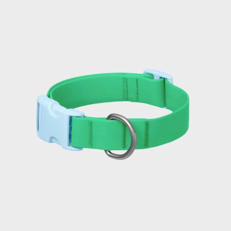 COLLIER POUR CHIEN WATERPROOF - BICOLORE BLEU / VERT (PERSONNALISABLE AVEC DES CHARMS)