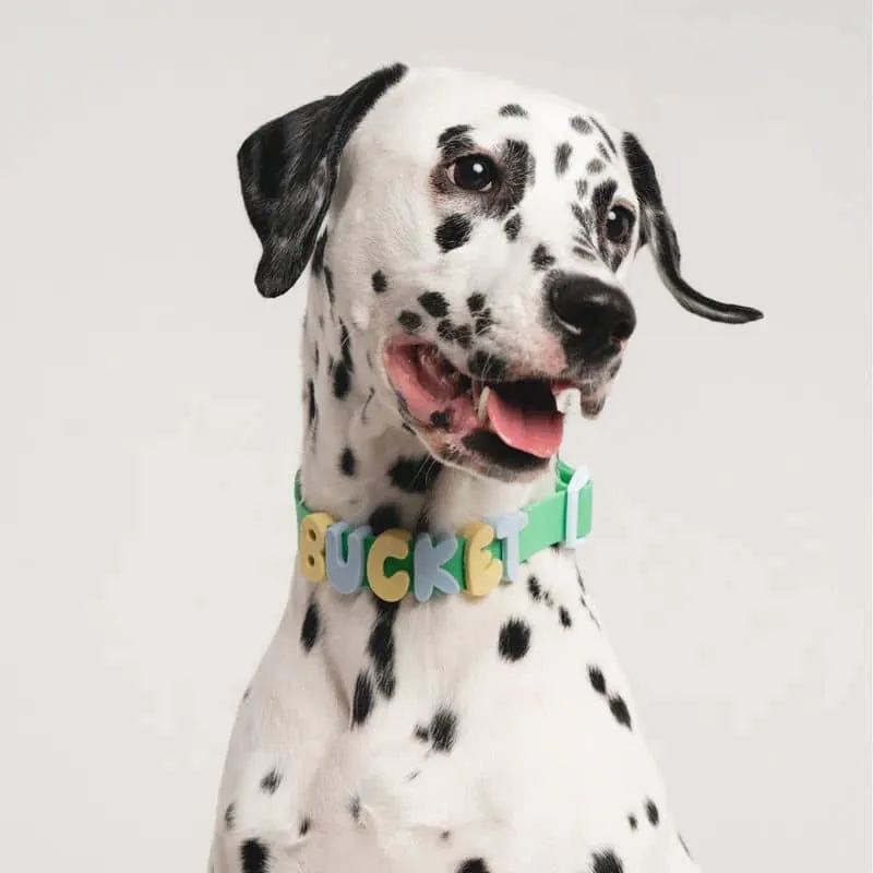 CHARMS SILICONE POUR PERSONNALISER ACCESSOIRE CHIEN - ALPHABET VERT & BLEU