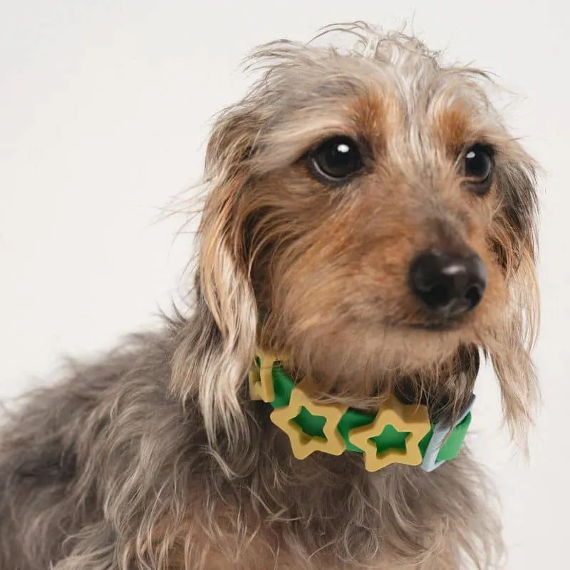 COLLIER POUR CHIEN WATERPROOF - BICOLORE BLEU / VERT (PERSONNALISABLE AVEC DES CHARMS)