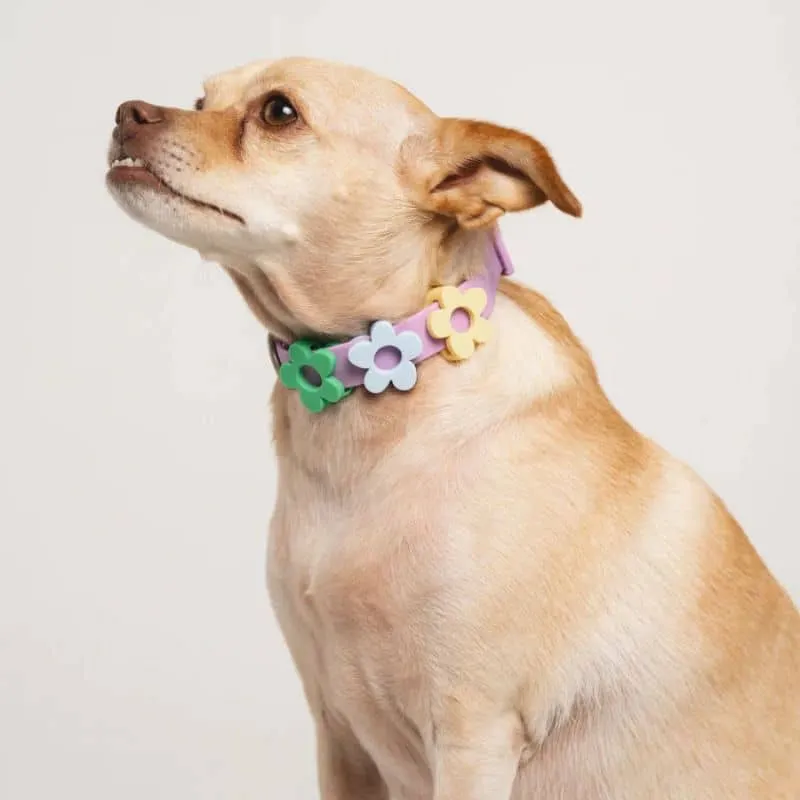 CHARMS SILICONE POUR PERSONNALISER ACCESSOIRE CHIEN - SYMBOLES & STRAPS (LILAS, JAUNE, VERT & BLEU)
