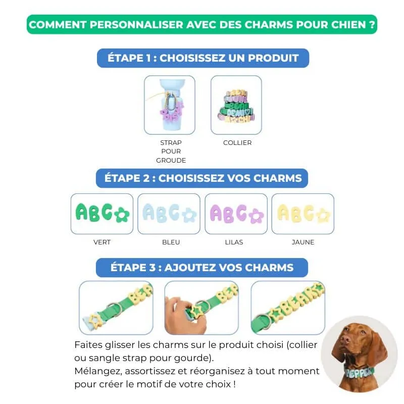 CHARMS SILICONE POUR PERSONNALISER ACCESSOIRE CHIEN - ALPHABET VERT & BLEU