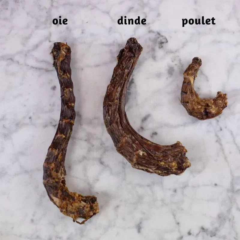 Cous de dinde – Mastication gourmande pour chiens