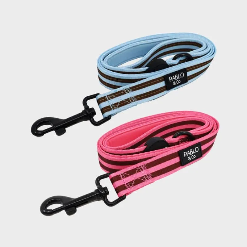 LAISSE POUR CHIEN TISSU - RAYURES ROSE/BORDEAUX OU BLEU/MARRON