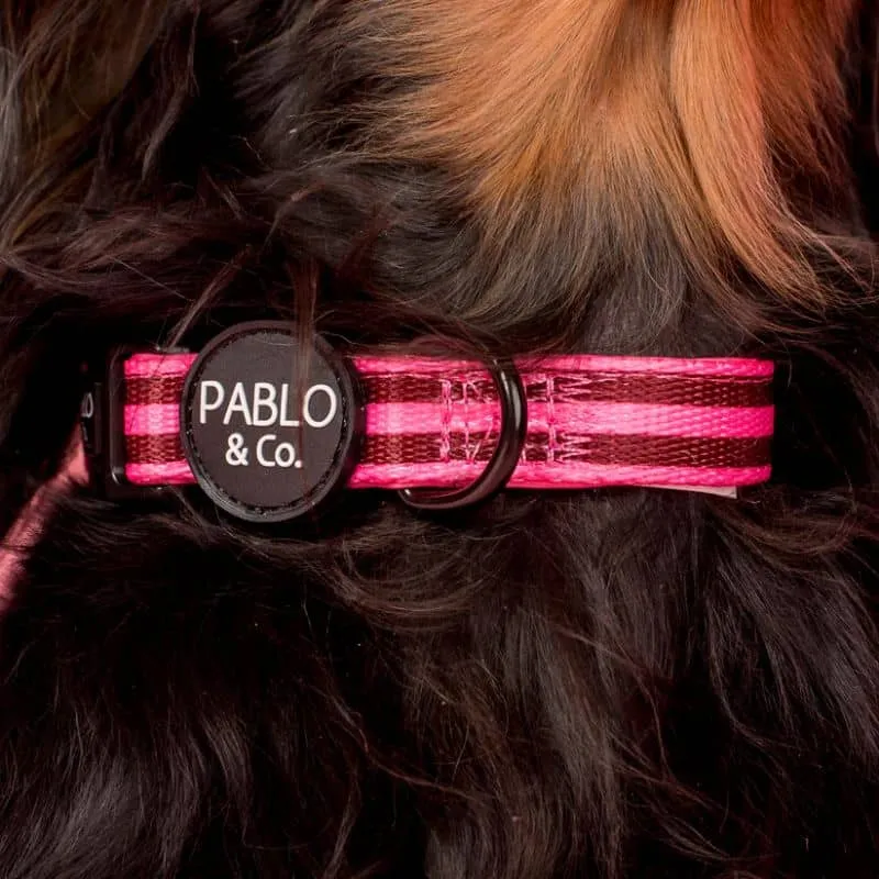 COLLIER POUR CHIEN TISSU - RAYURES ROSE/BORDEAUX OU BLEU/MARRON