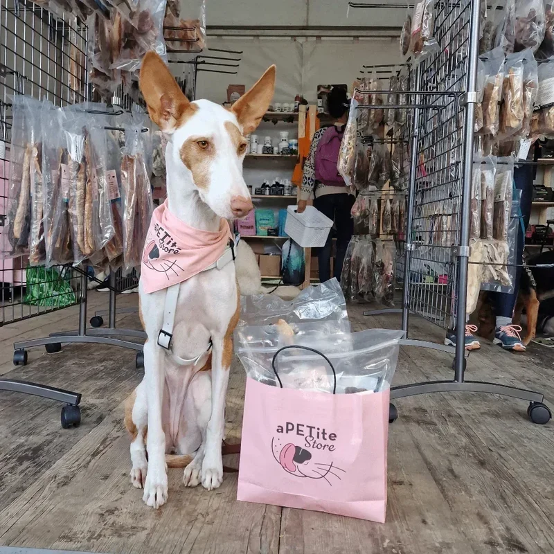 Bandana pour chiens et chats – aPETite Store