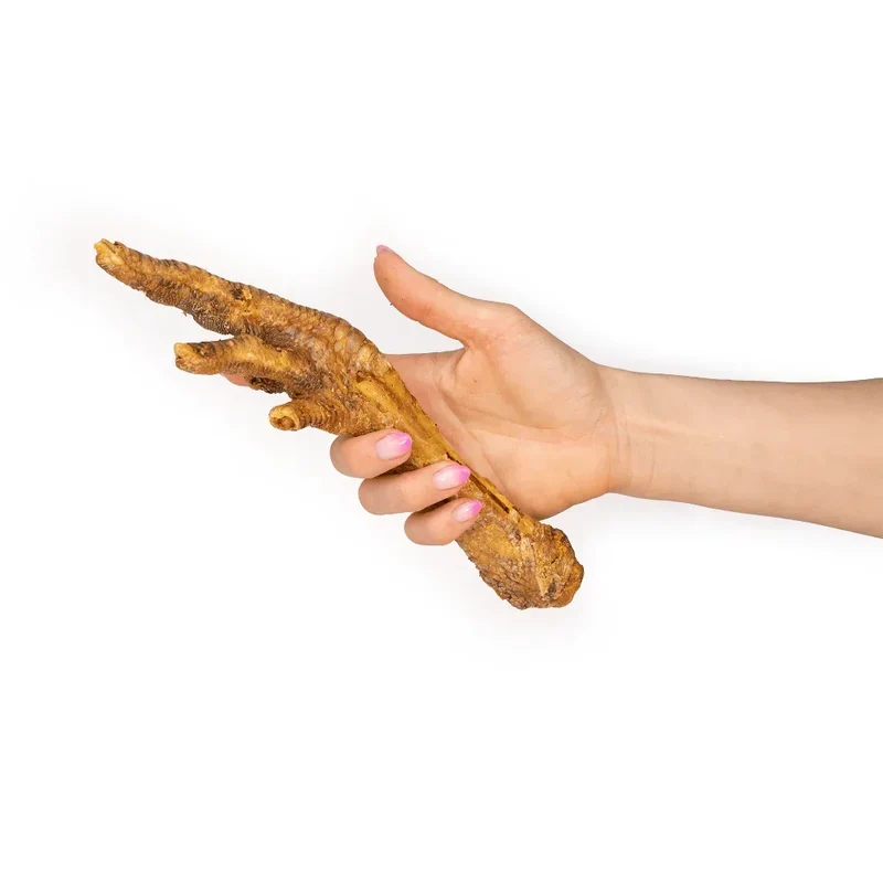 Pattes de dinde – Mastication gourmande pour chiens – 2 pièces