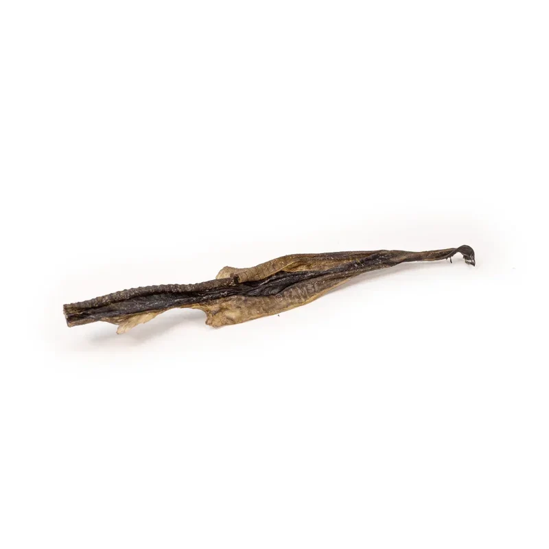 Lanières de peau de poisson chat – Mastication gourmande pour petits chiens et chiots