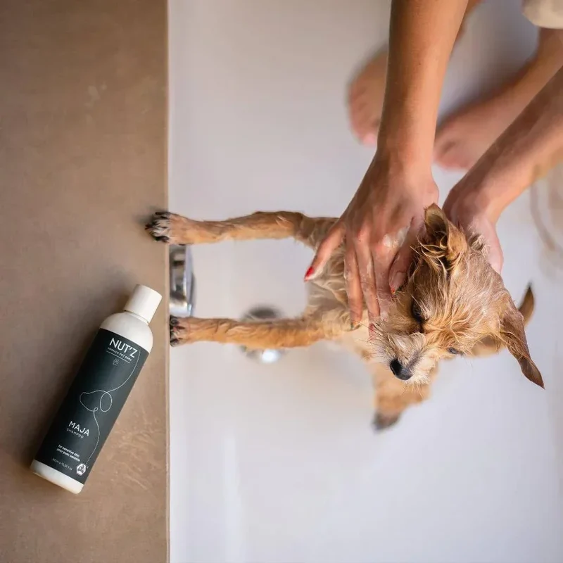 Shampoings pour chiens et chats – Nut'z – 300mL