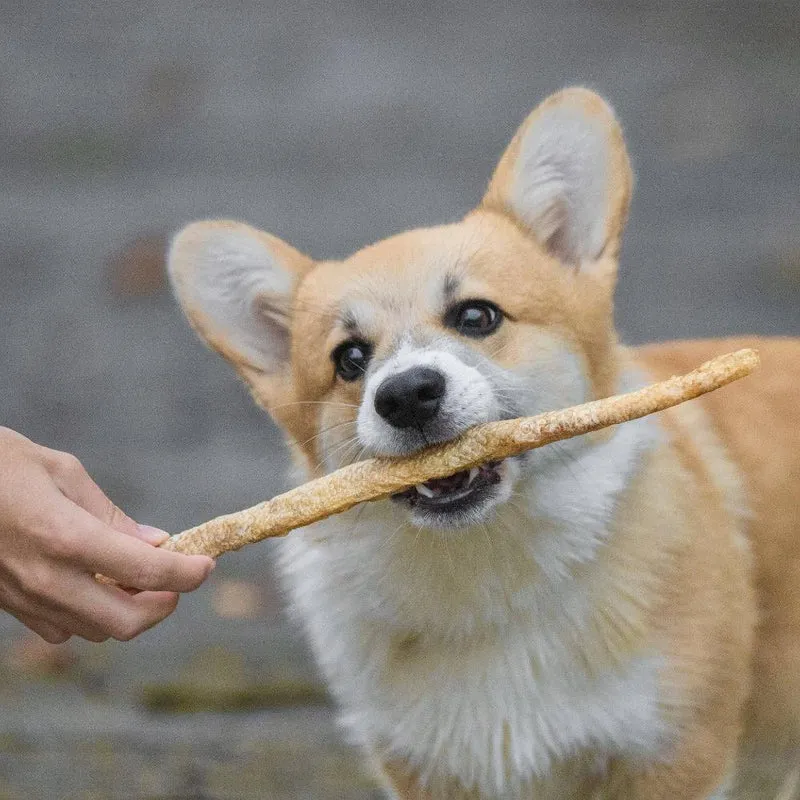 Sticks de sébaste orangé – Friandises à mâcher pour chien