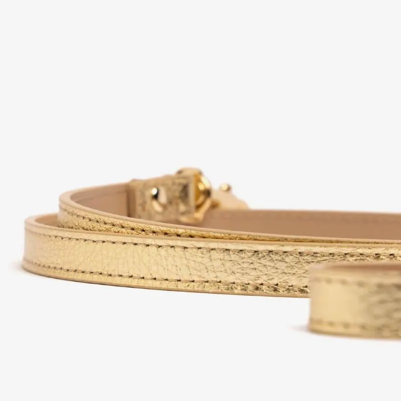 LAISSE EN CUIR POUR CHIEN - DORÉ