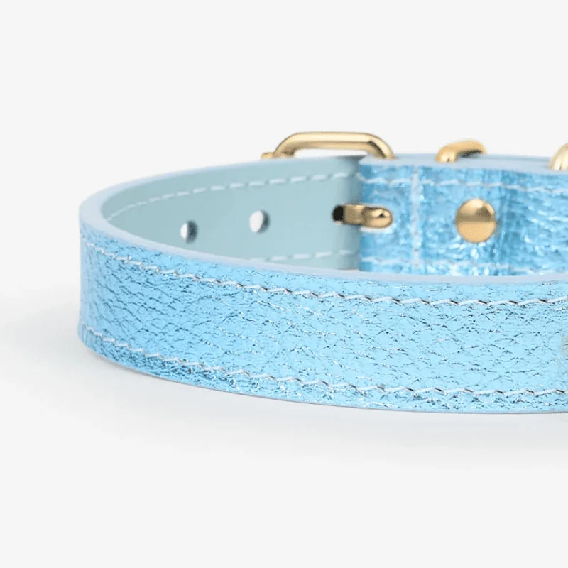 COLLIER EN CUIR POUR CHIEN - MÉTAL BLEU CIEL