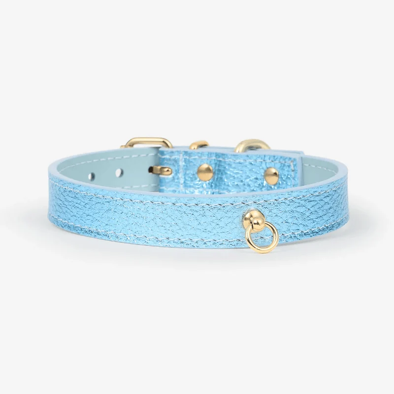 COLLIER EN CUIR POUR CHIEN - MÉTAL BLEU CIEL