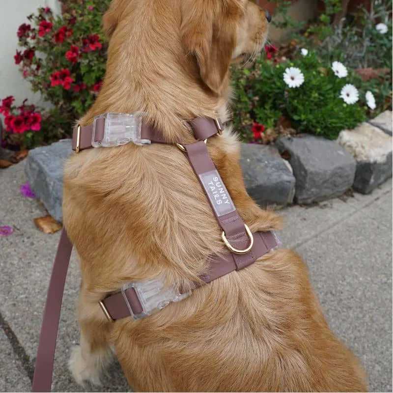 LAISSE POUR CHIEN WATERPROOF - MARRON ESPRESSO
