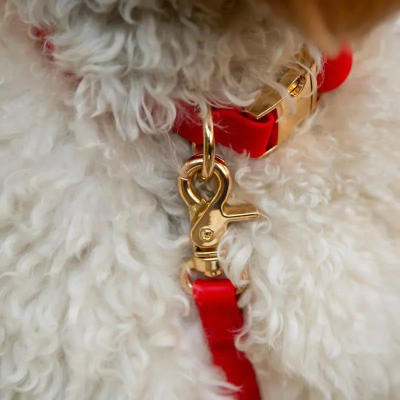 LAISSE POUR CHIEN WATERPROOF - ROUGE CERISE