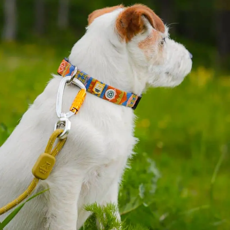 LAISSE RÉFLÉCHISSANTE EN CORDE POUR CHIEN - VERT PISTACHIO (2 TAILLES DISPO)