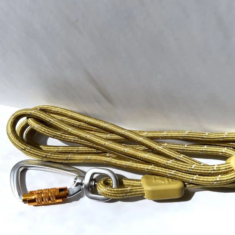 LAISSE RÉFLÉCHISSANTE EN CORDE POUR CHIEN - VERT PISTACHIO (2 TAILLES DISPO)